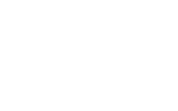 Mr. Plot